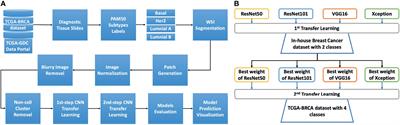 Predicting Breast Cancer <mark class="highlighted">Gene Expression Signature</mark> by Applying Deep Convolutional Neural Networks From Unannotated Pathological Images